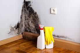 Mold Remediation for Rental Properties in Perry, OK